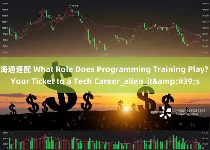 海通速配 What Role Does Programming Training Play? Your Ticket to a Tech Career_alien_it&#39;s