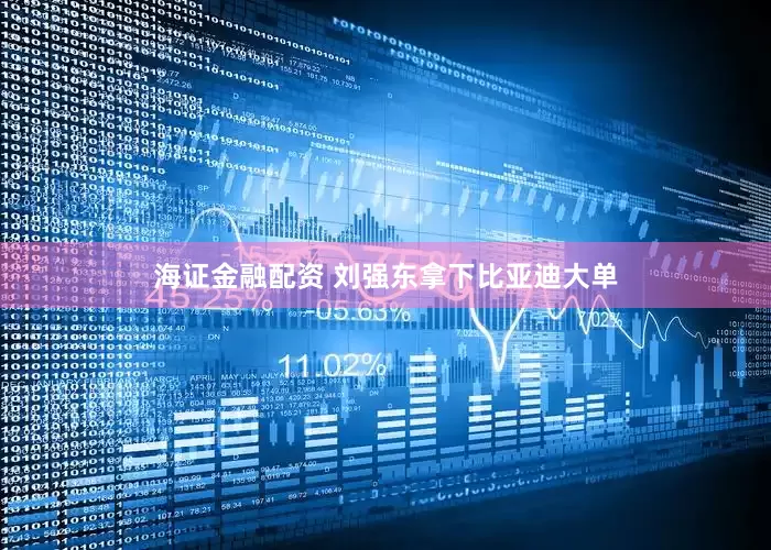 海证金融配资 刘强东拿下比亚迪大单