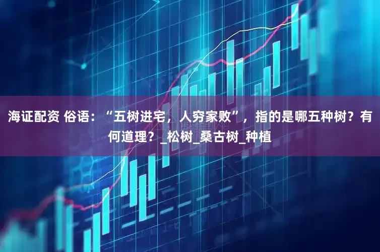 海证配资 俗语：“五树进宅，人穷家败”，指的是哪五种树？有何道理？_松树_桑古树_种植