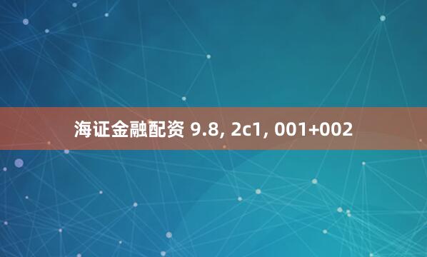 海证金融配资 9.8, 2c1, 001+002