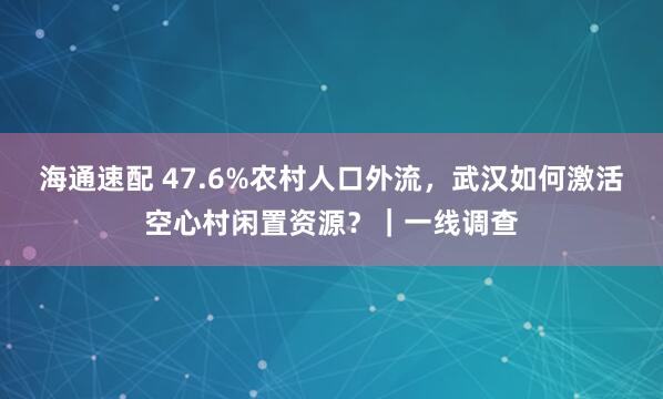 海通速配 47.6%农村人口外流，武汉如何激活空心村闲置资源？｜一线调查